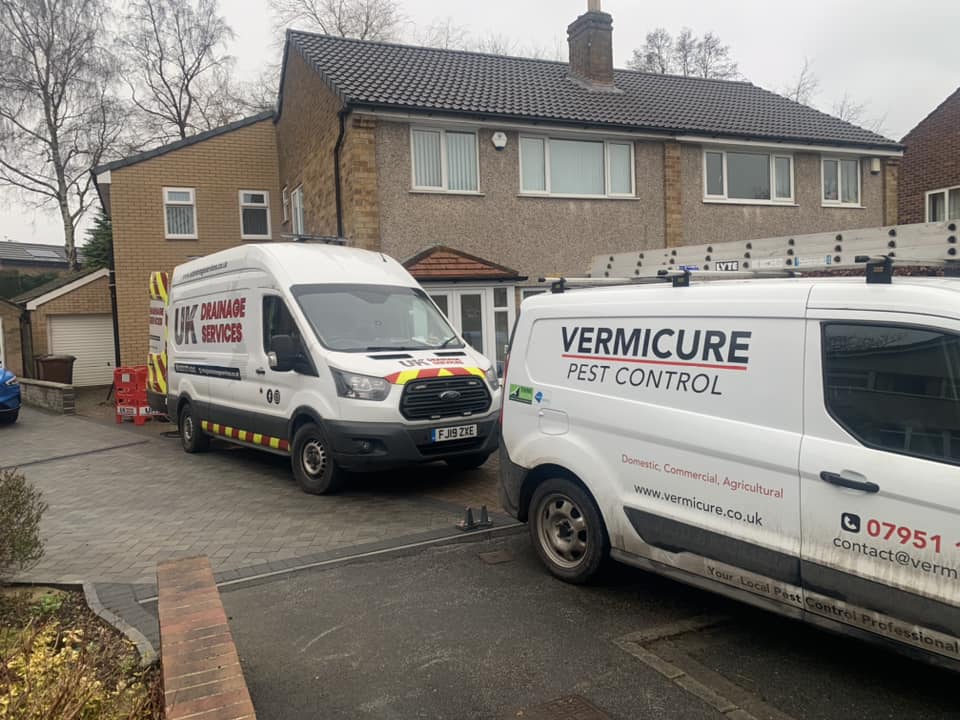 Rat Ingress Survey & Drain Proofing