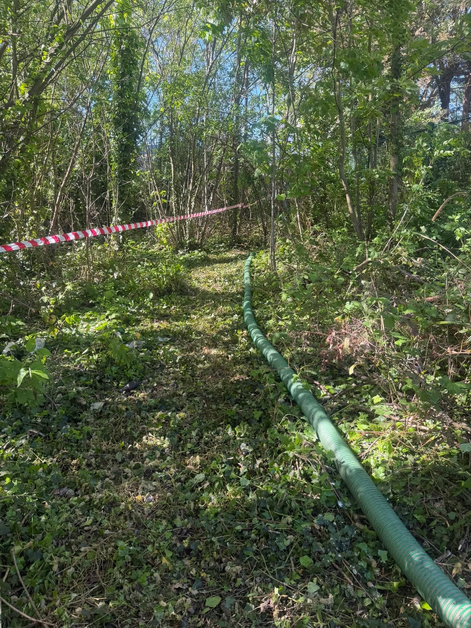 Suction hose running through cleared vegetation with hazard tape marking the secure working area