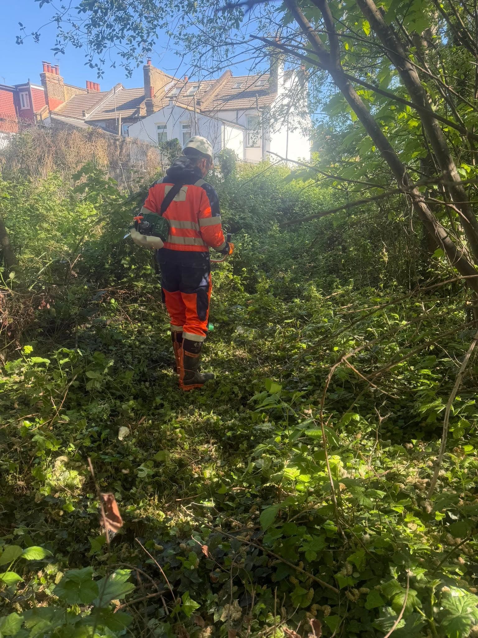 UK Drainage Services operative clearing dense vegetation to create safe site access on Network Rail land