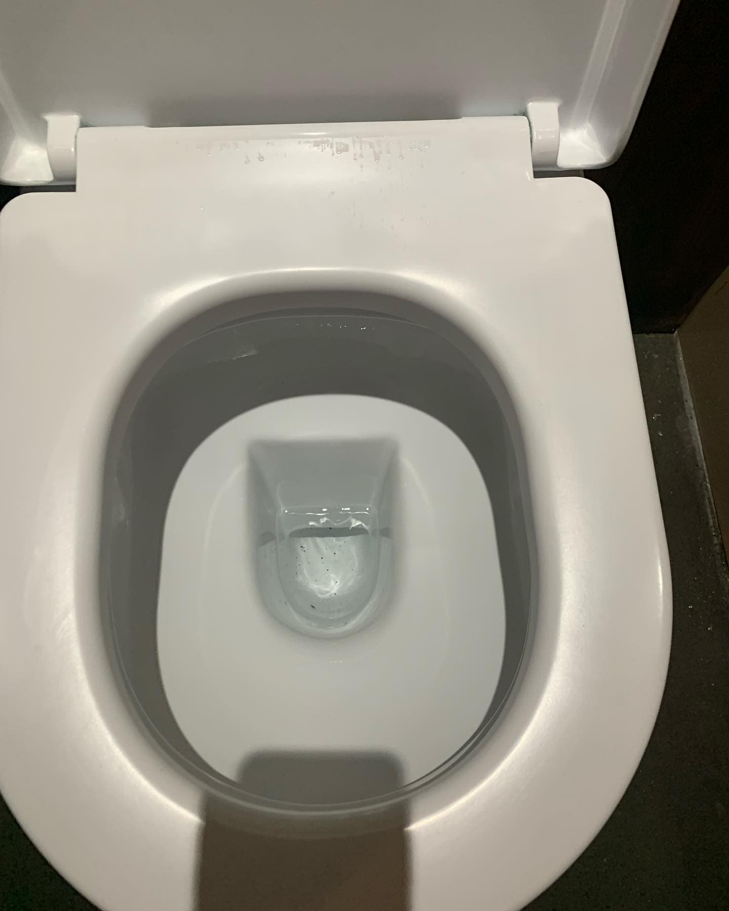Toilet Unblocking